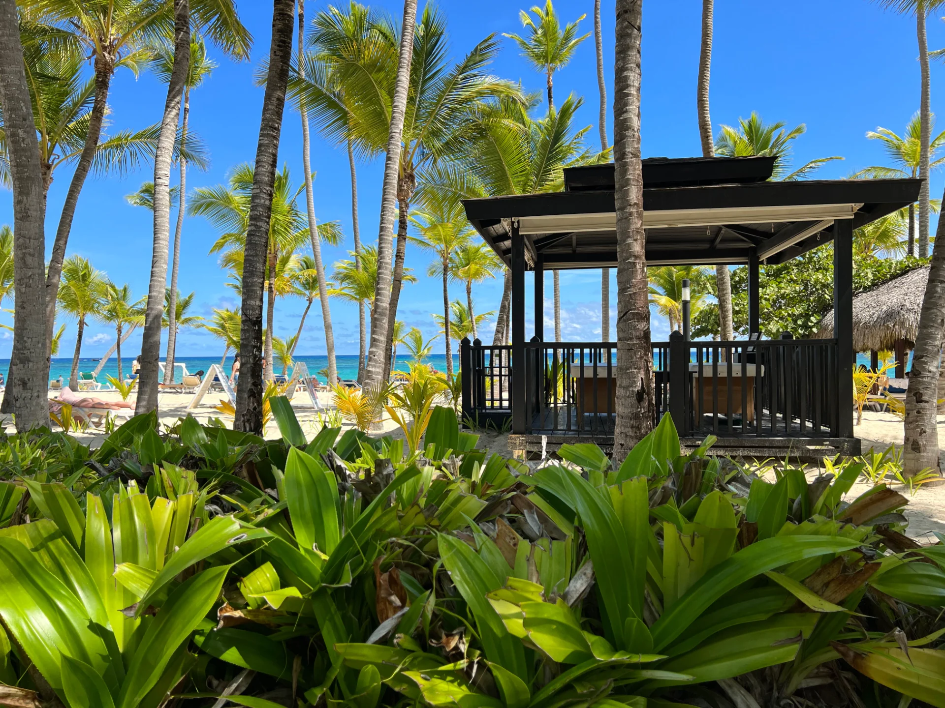 Las Terrenas vs Punta Cana: Which Is Better? (2025)